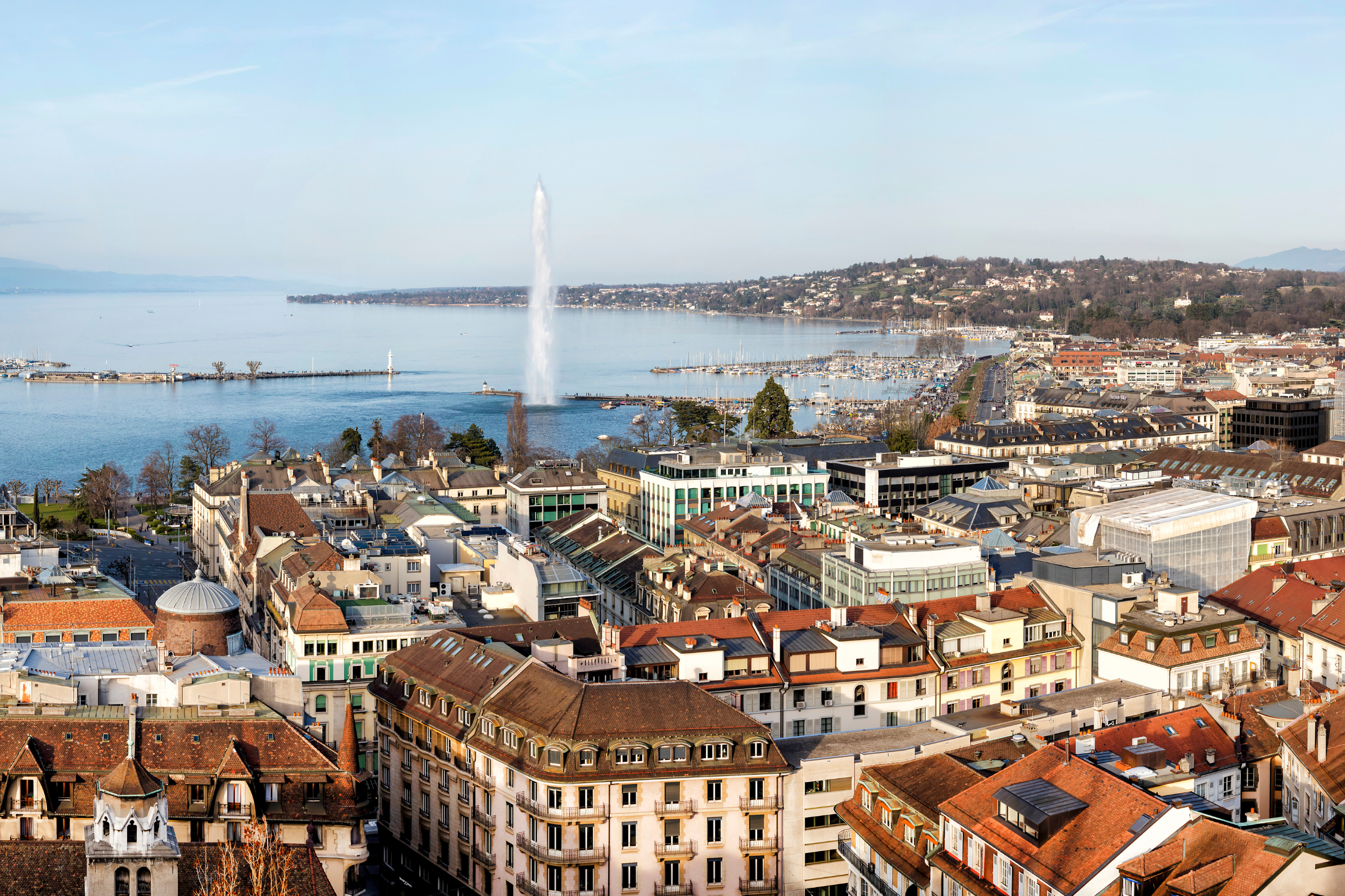 geneva (3).webp
